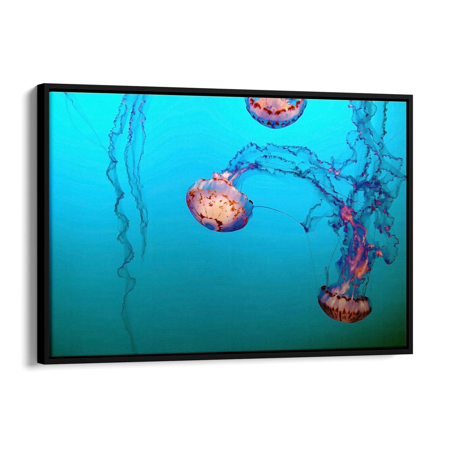 Deep Blue Jellyfish Neon Photograph Wall Art - The Affordable Art Company