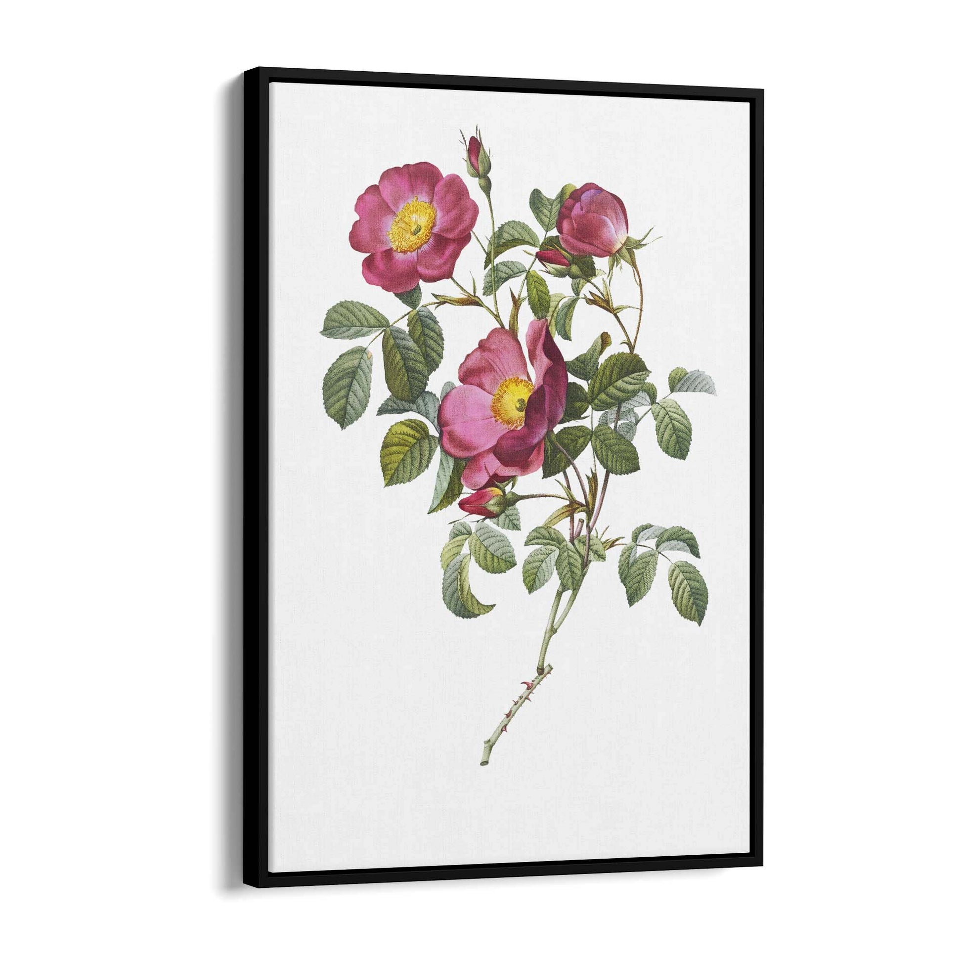 Flower Botanical Painting Kitchen Hallway Wall Art #41 - The Affordable Art Company