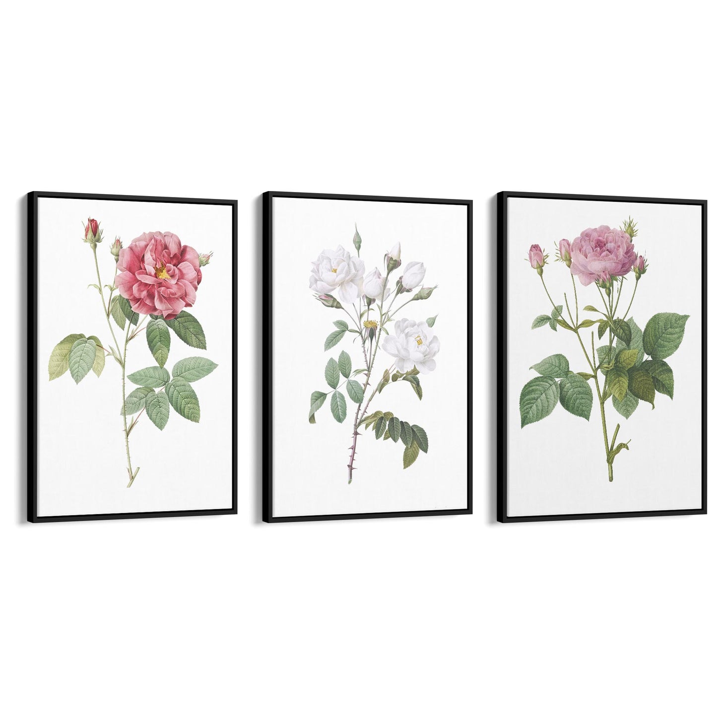 Set of Pink Floral Vintage Botanical Wall Art #4 - The Affordable Art Company