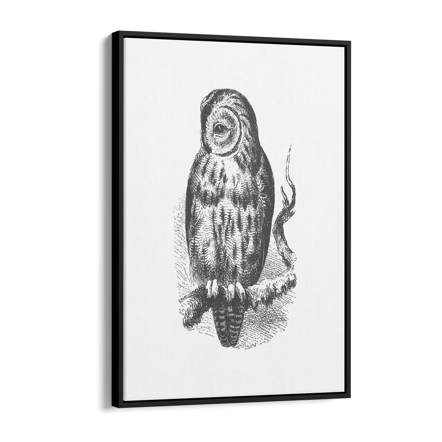 Owl Drawing Portrait Minimal Black Wall Art #3 - The Affordable Art Company