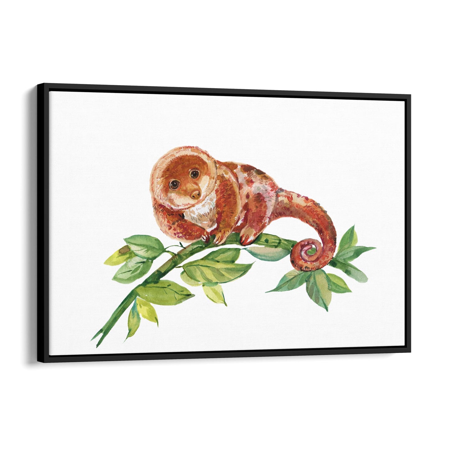 Australian Tree Kangaroo Painting Animal Wall Art - The Affordable Art Company