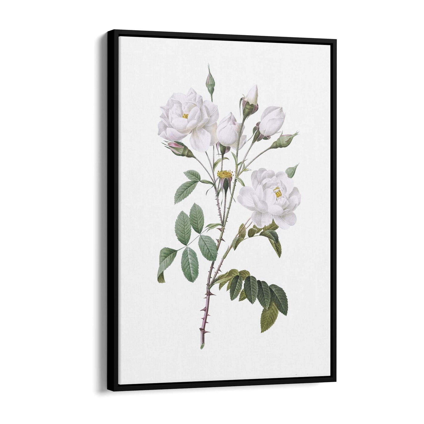 Flower Botanical Painting Kitchen Hallway Wall Art #15 - The Affordable Art Company