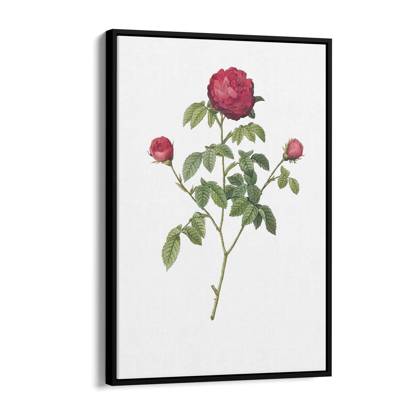 Flower Botanical Painting Kitchen Hallway Wall Art #3 - The Affordable Art Company