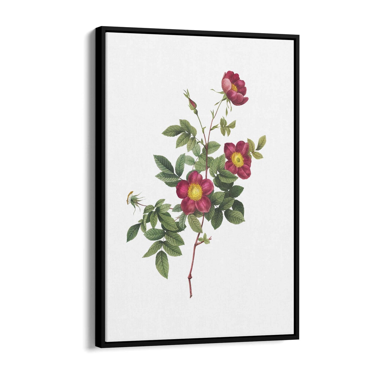 Flower Botanical Painting Kitchen Hallway Wall Art #7 - The Affordable Art Company