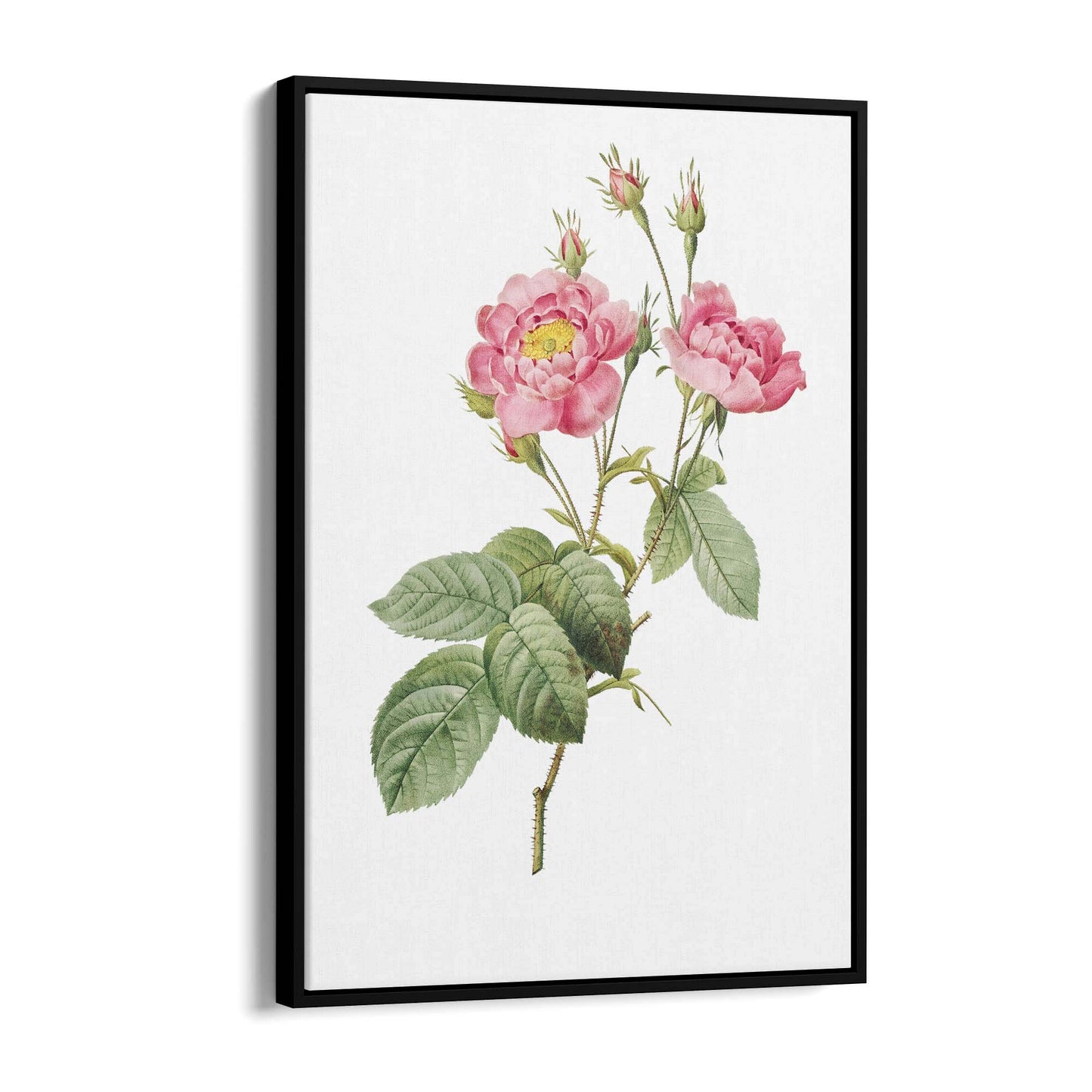 Flower Botanical Painting Kitchen Hallway Wall Art #12 - The Affordable Art Company