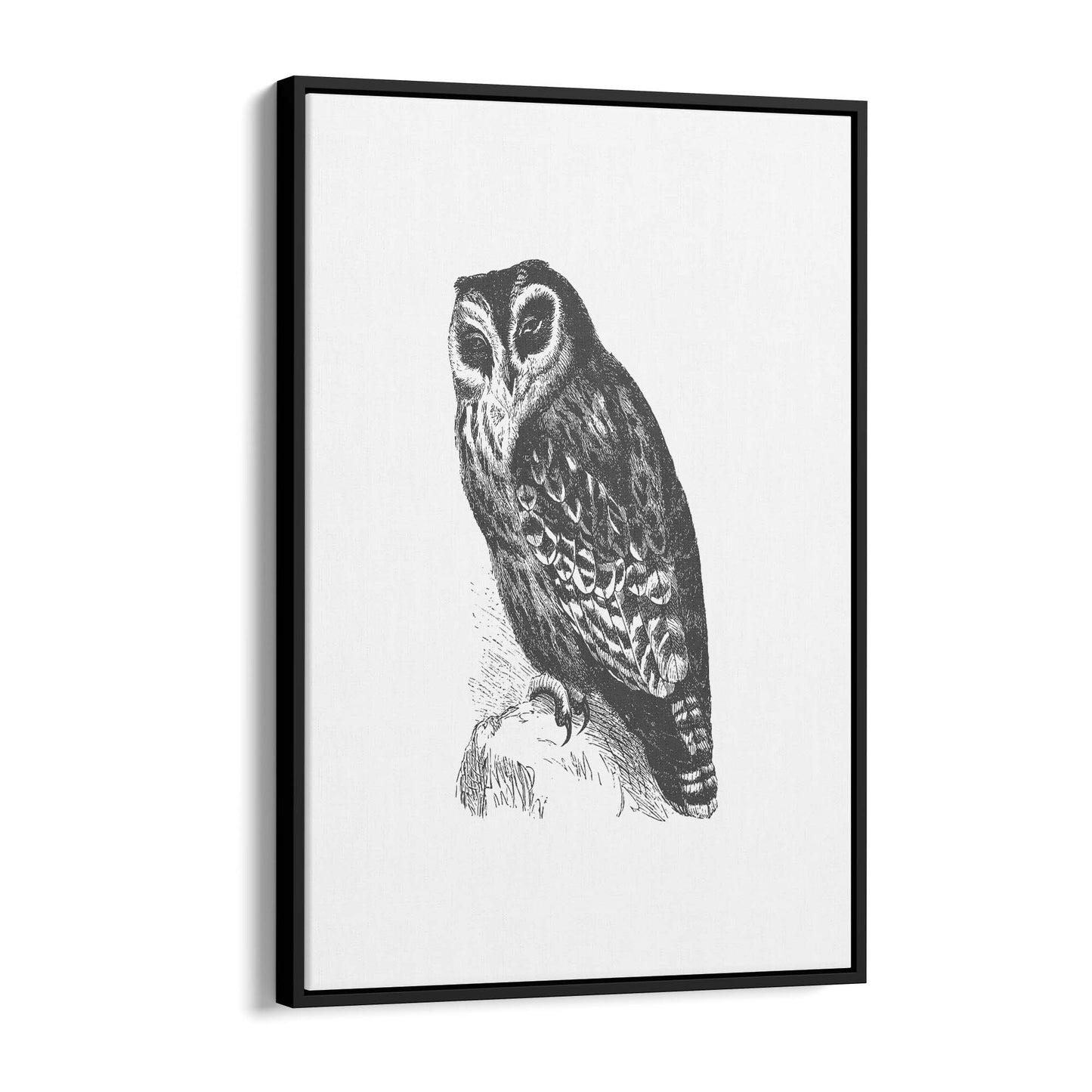 Owl Drawing Portrait Minimal Black Wall Art #4 - The Affordable Art Company