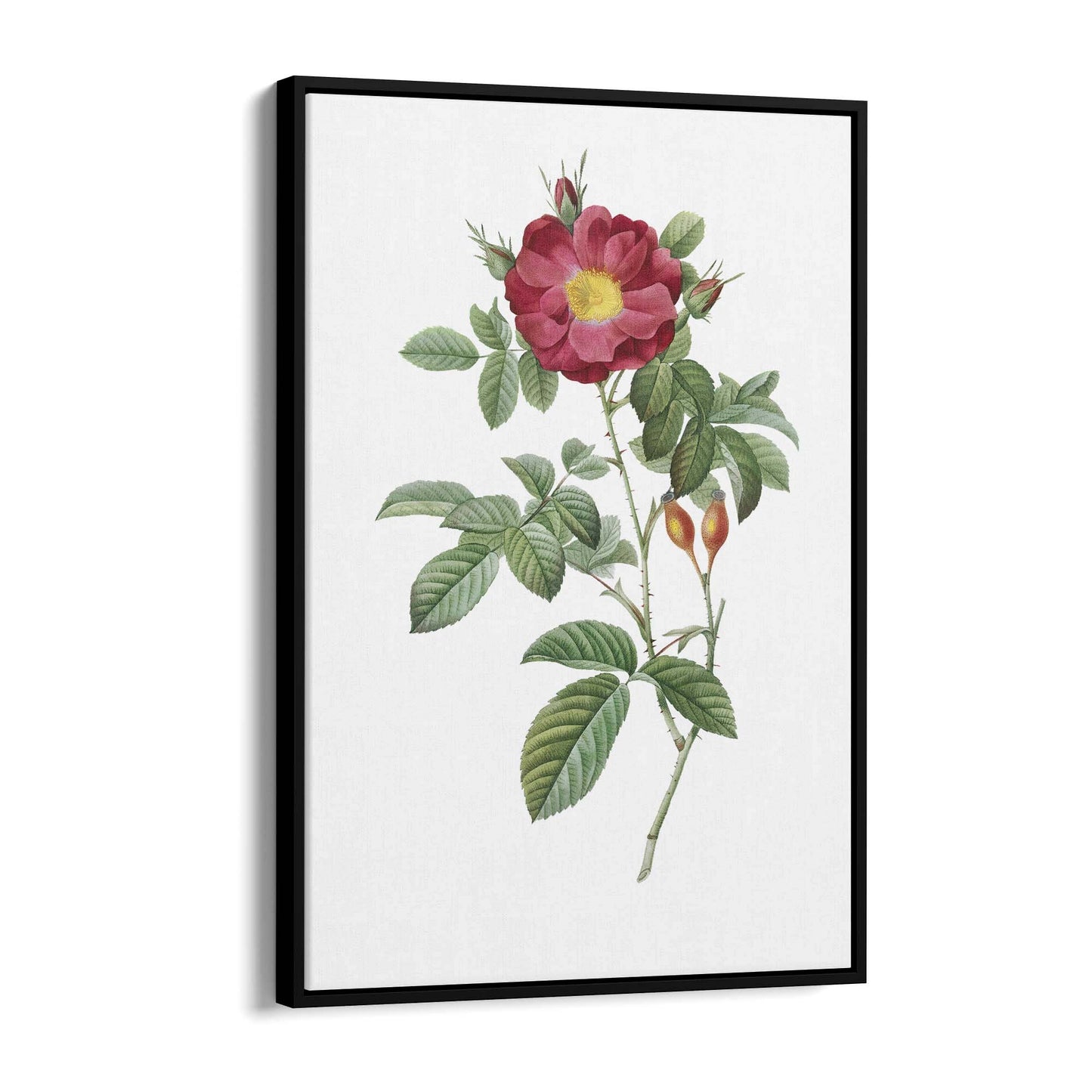 Flower Botanical Painting Kitchen Hallway Wall Art #9 - The Affordable Art Company