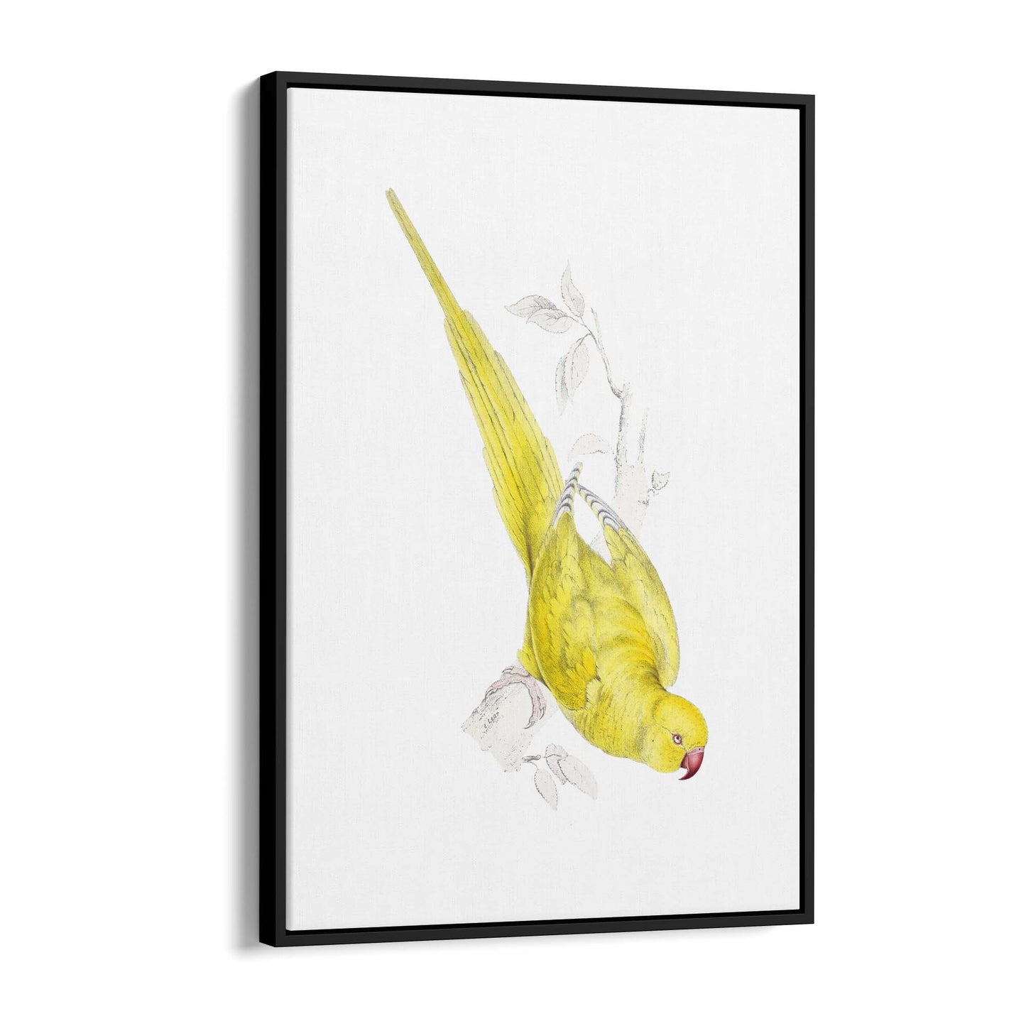 Yellow Roseringed Parakeet Exotic Bird Wall Art - The Affordable Art Company