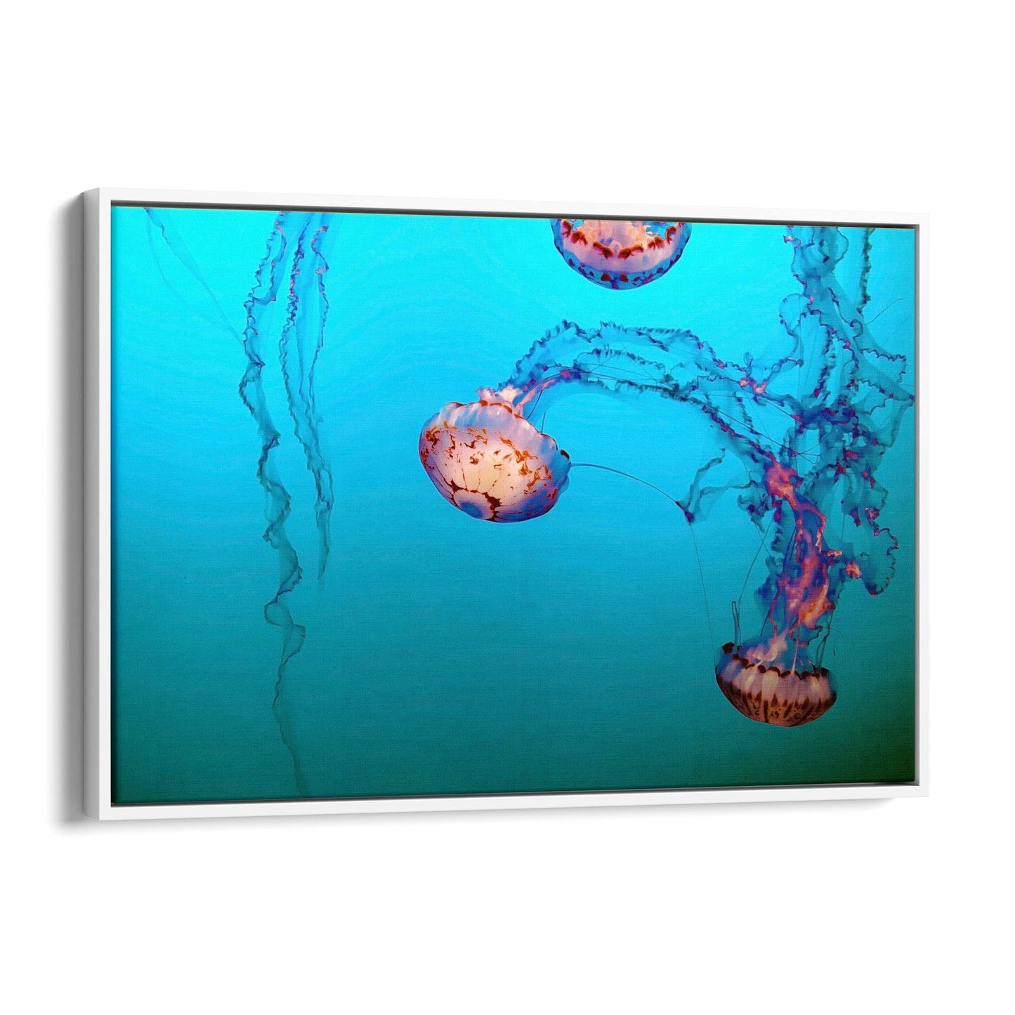 Deep Blue Jellyfish Neon Photograph Wall Art - The Affordable Art Company