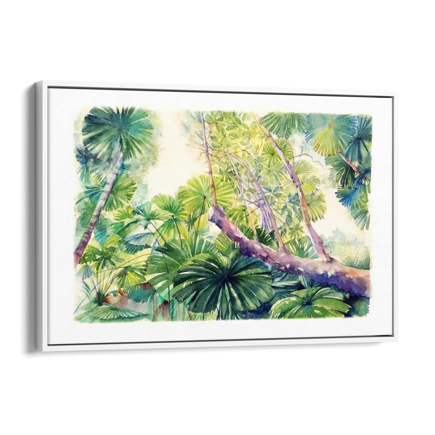 Daintree Rainforest Queensland Painting Wall Art - The Affordable Art Company