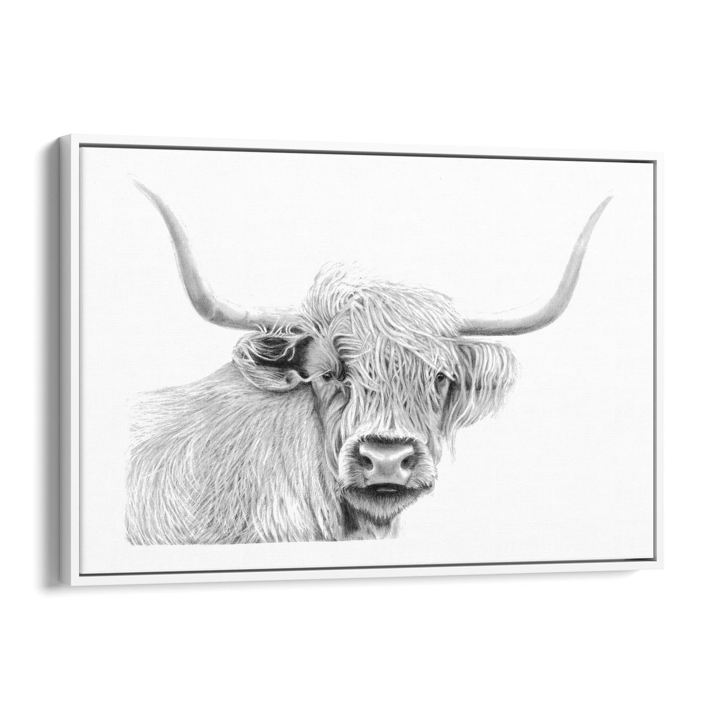 Highland Cow Detailed Drawing Minimal Wall Art - The Affordable Art Company