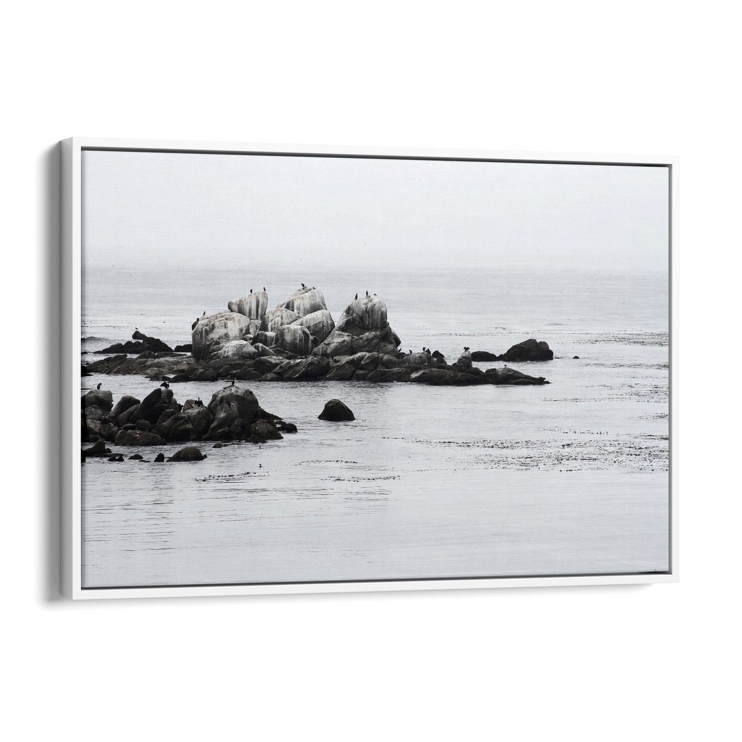 Wild Rocks Coastal Photograph Wall Art - The Affordable Art Company