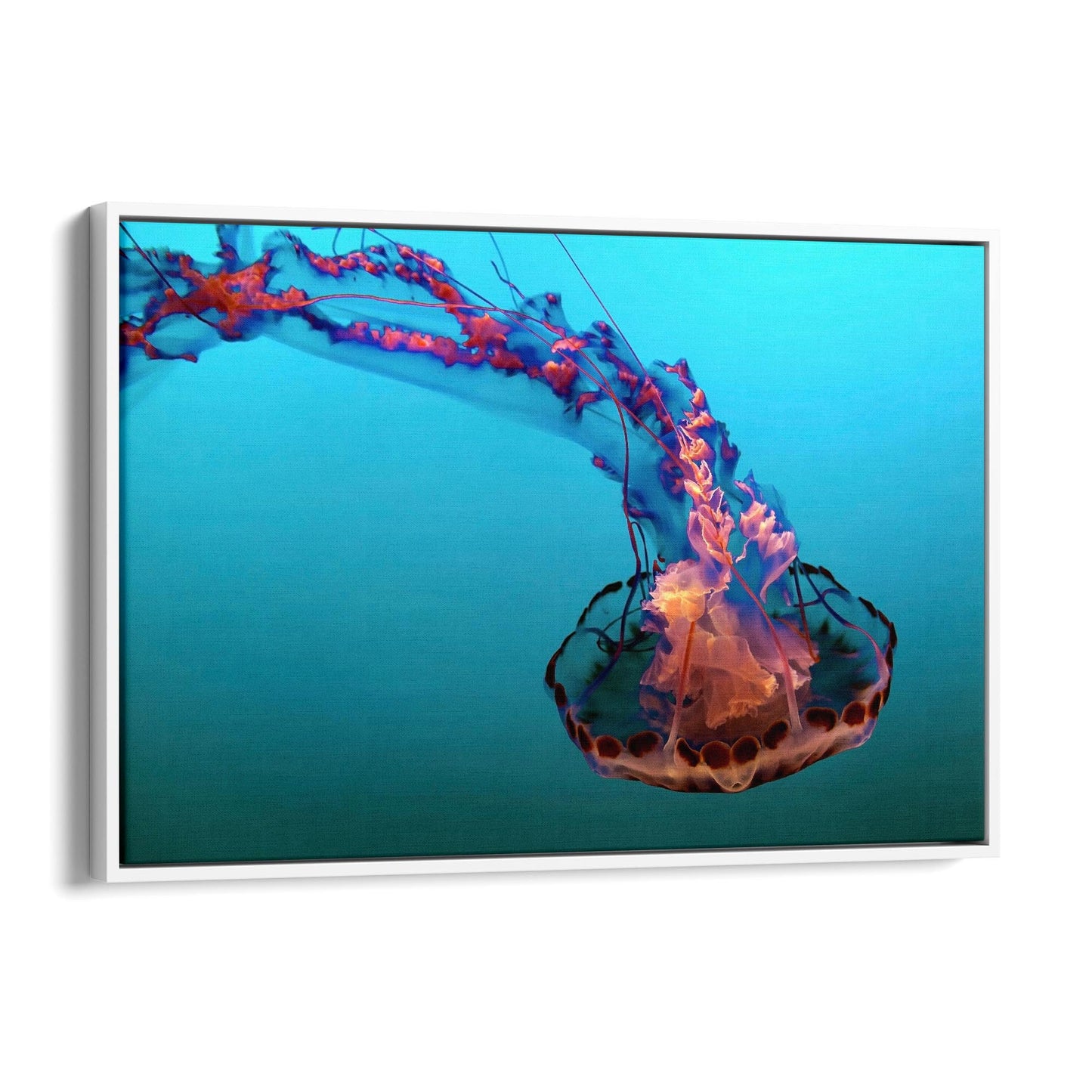 Electric Jellyfish Blue Photograph Neon Wall Art - The Affordable Art Company