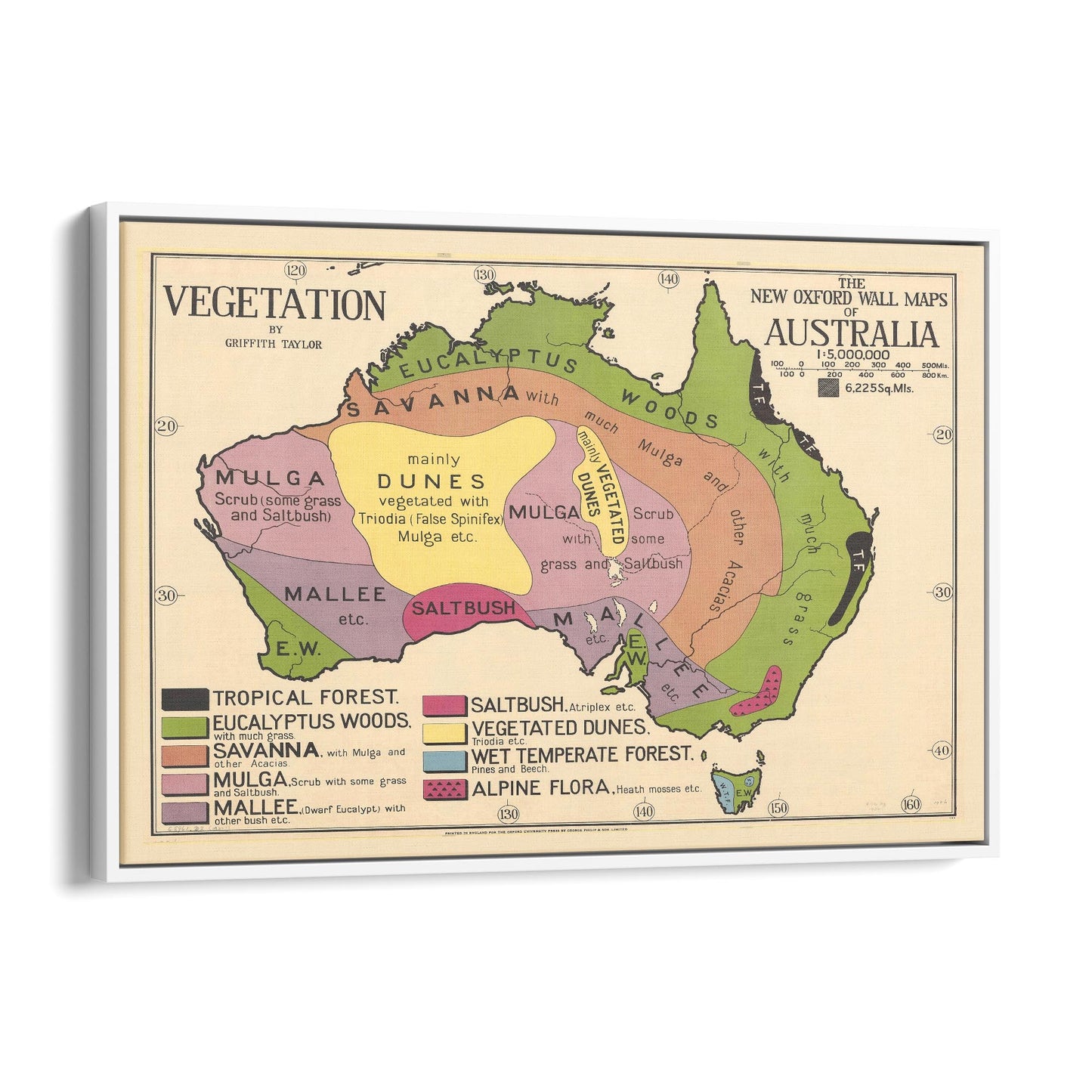 Australian Vegetation Vintage Map Wall Art - The Affordable Art Company