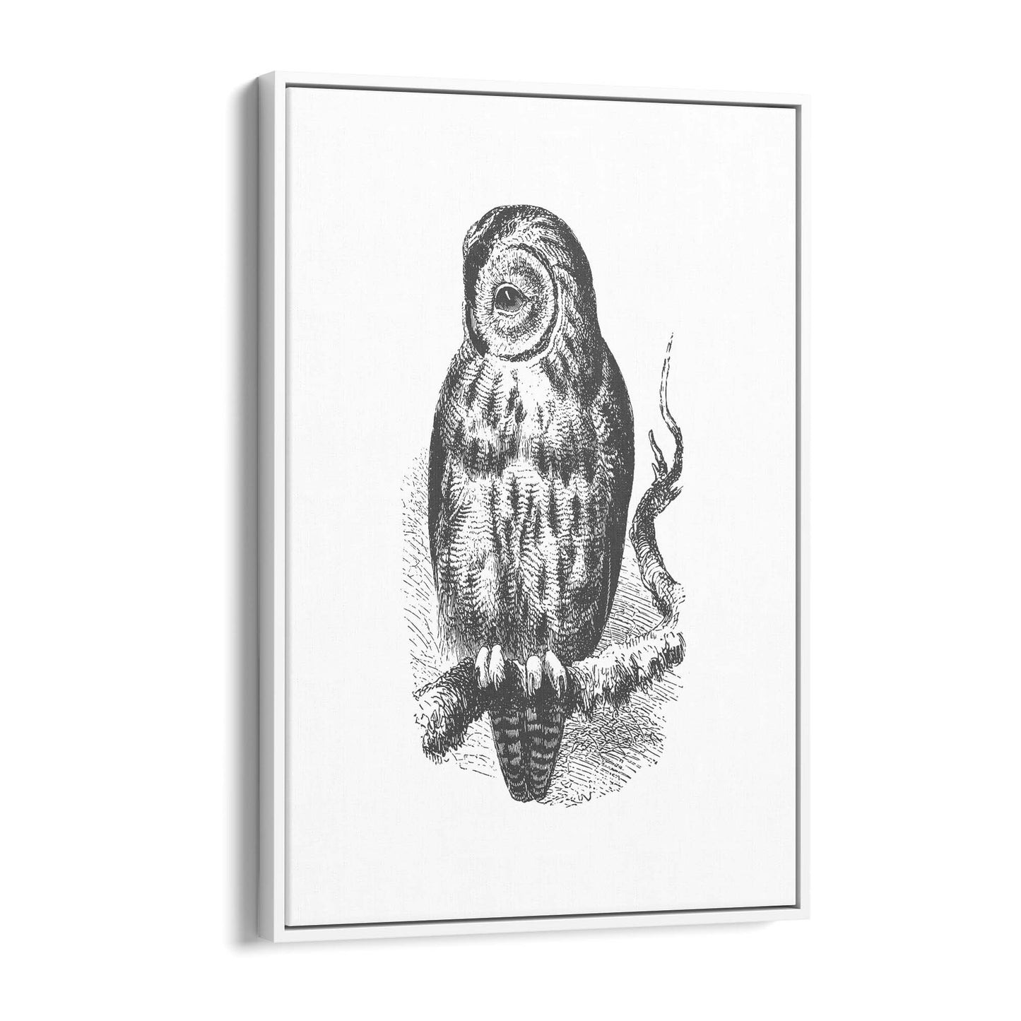 Owl Drawing Portrait Minimal Black Wall Art #3 - The Affordable Art Company