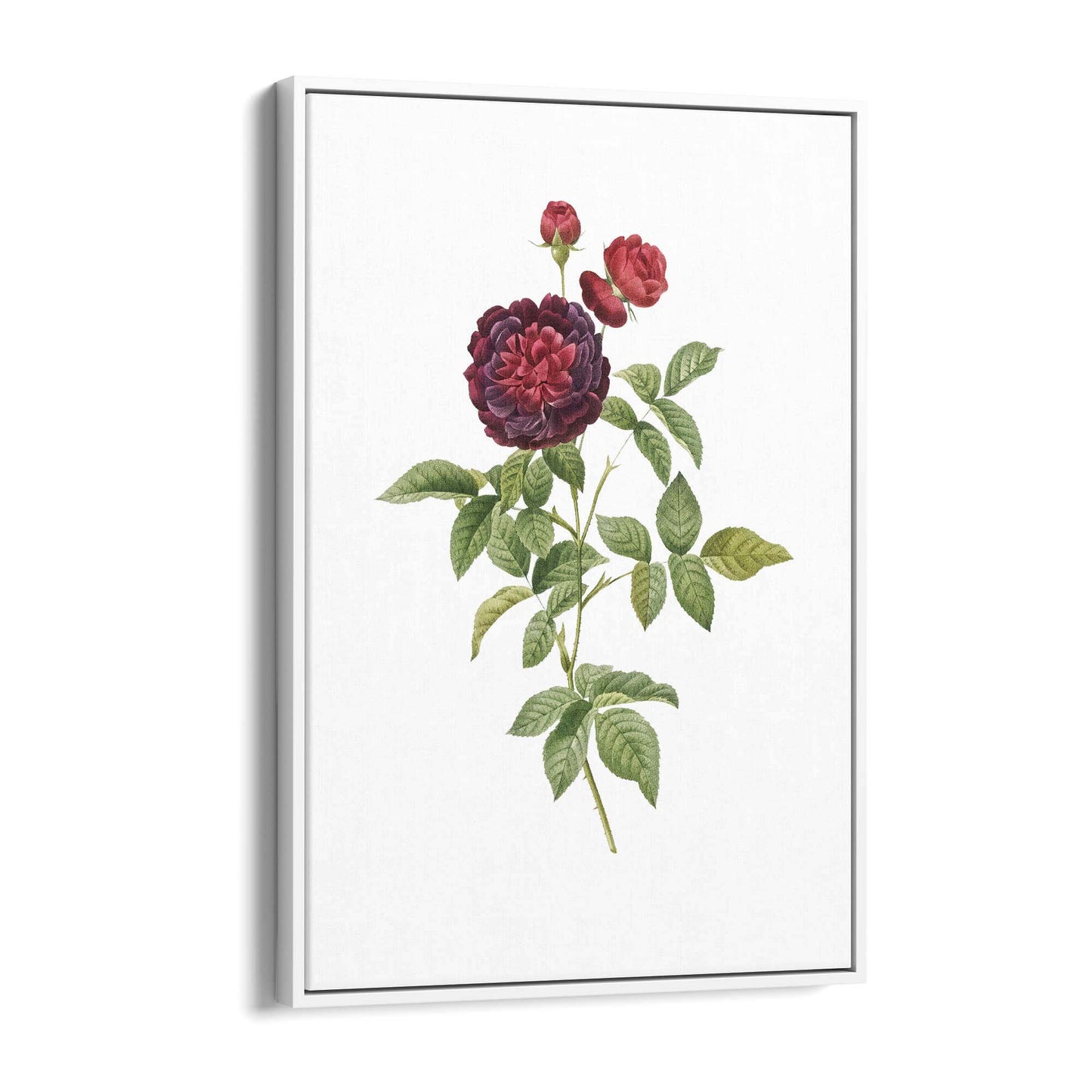 Flower Botanical Painting Kitchen Hallway Wall Art #30 - The Affordable Art Company