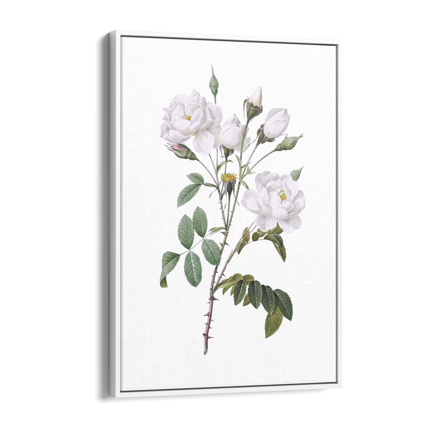 Flower Botanical Painting Kitchen Hallway Wall Art #15 - The Affordable Art Company