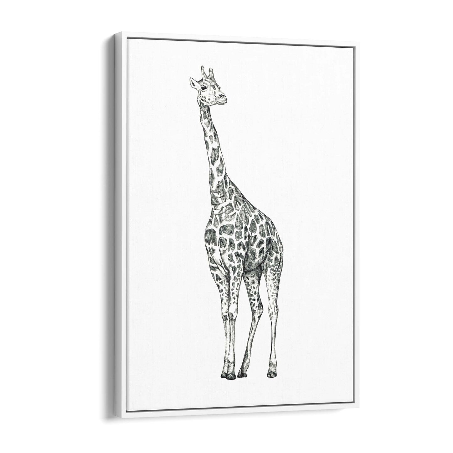 Detailed Giraffe Drawing Safari Animal Wall Art #1 - The Affordable Art Company