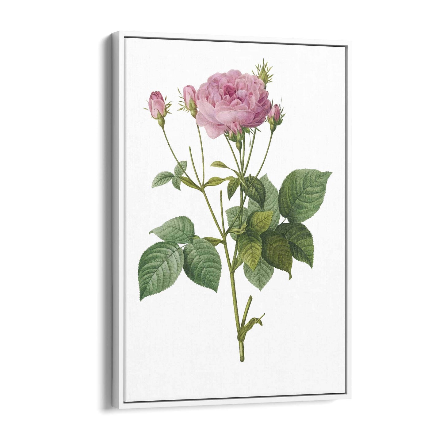 Flower Botanical Painting Kitchen Hallway Wall Art #18 - The Affordable Art Company