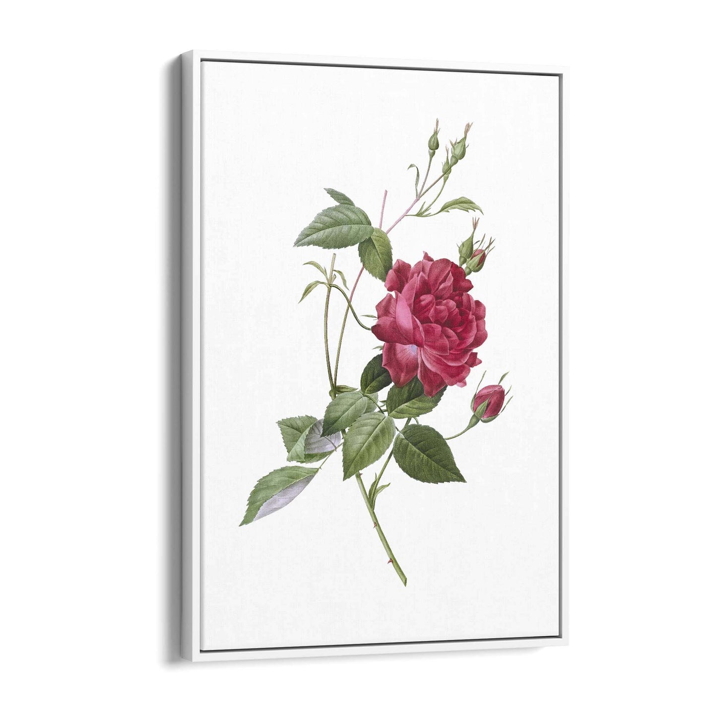 Flower Botanical Painting Kitchen Hallway Wall Art #31 - The Affordable Art Company