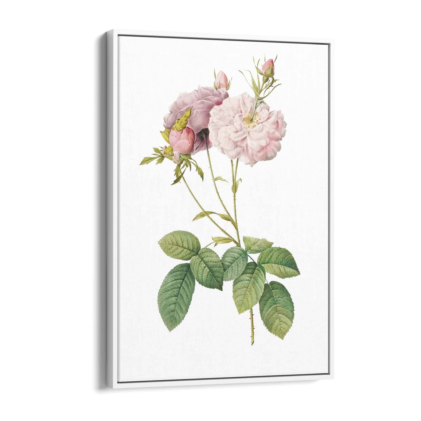 Flower Botanical Painting Kitchen Hallway Wall Art #42 - The Affordable Art Company