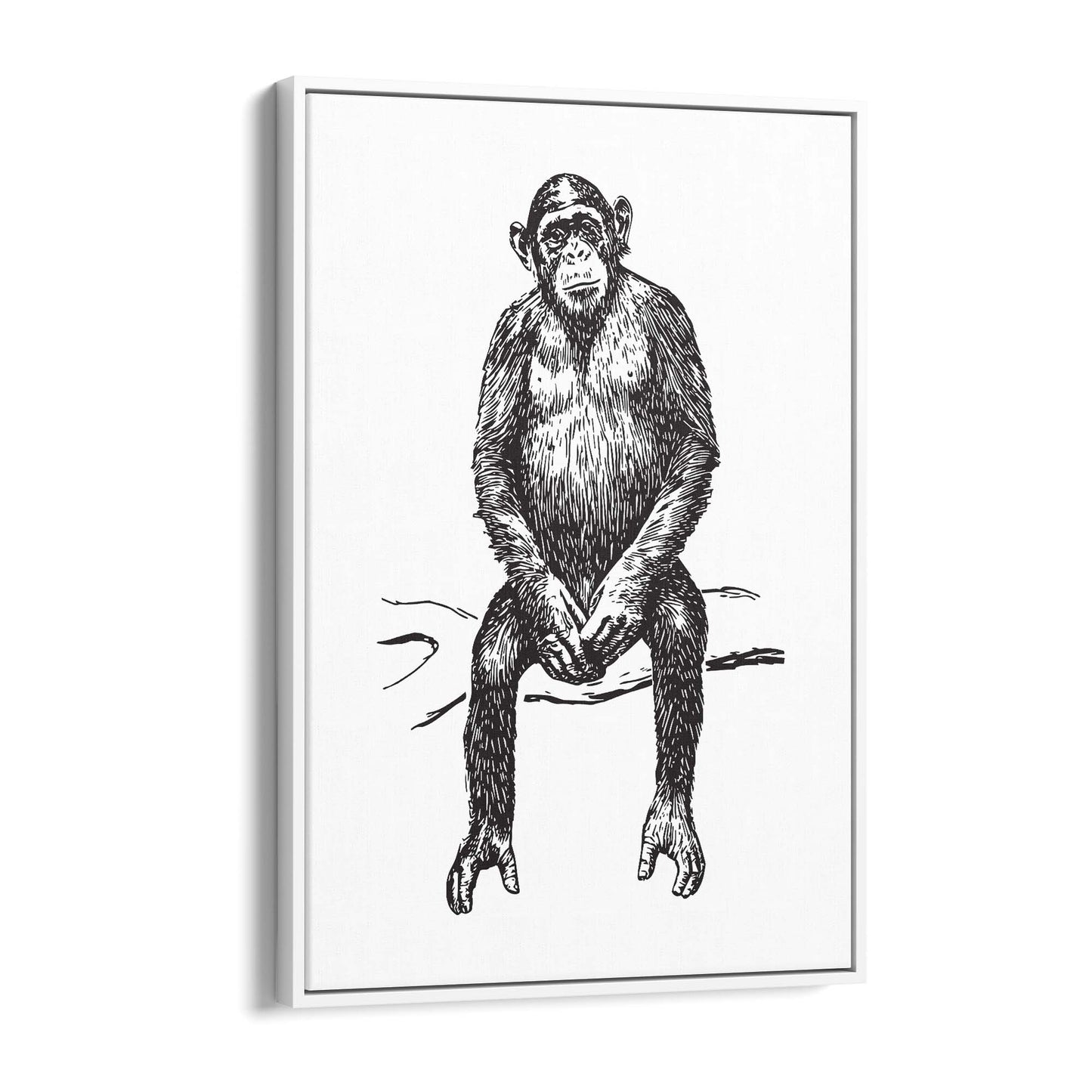 Monkey Drawing Animal Jungle Wall Art - The Affordable Art Company