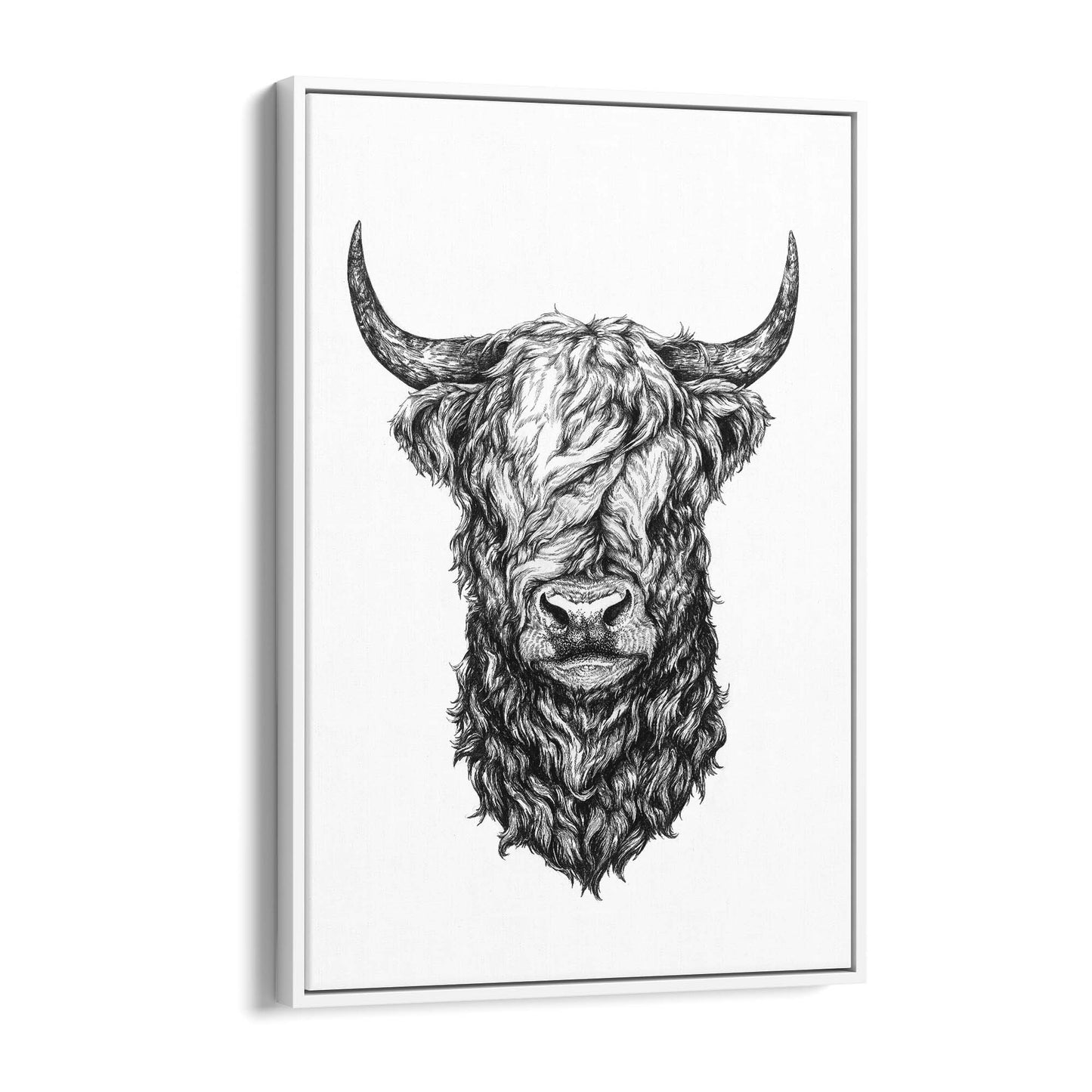 Highland Cow Detailed Head Drawing Wall Art - The Affordable Art Company