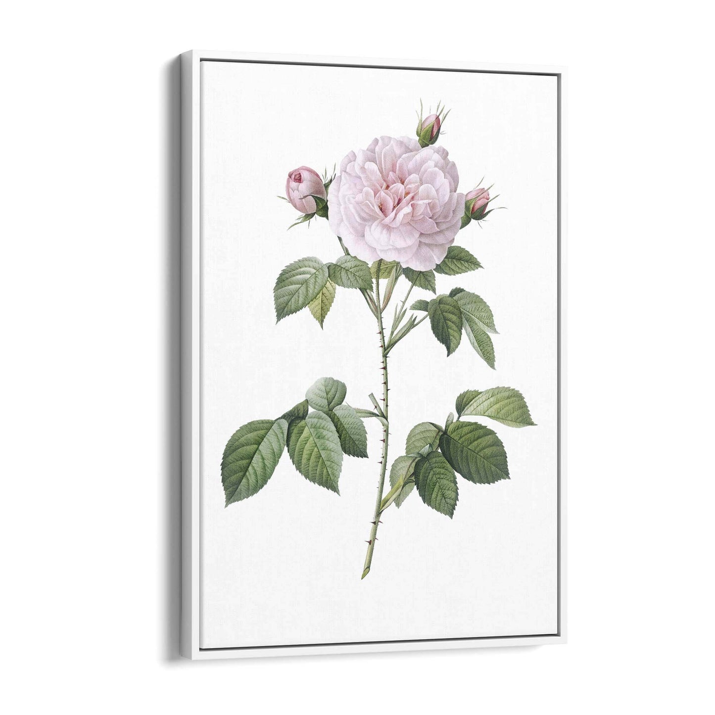 Flower Botanical Painting Kitchen Hallway Wall Art #11 - The Affordable Art Company