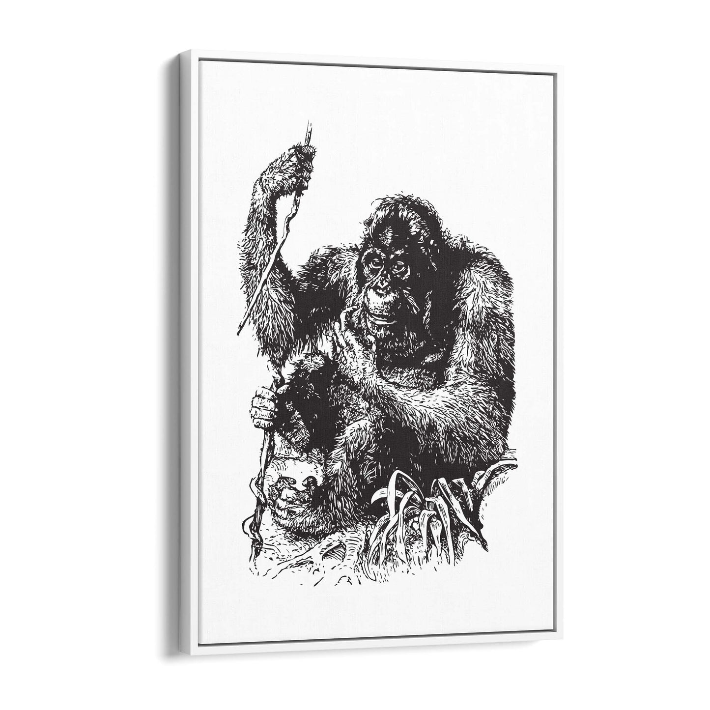 Orangutan Drawing Jungle Animal Wall Art - The Affordable Art Company