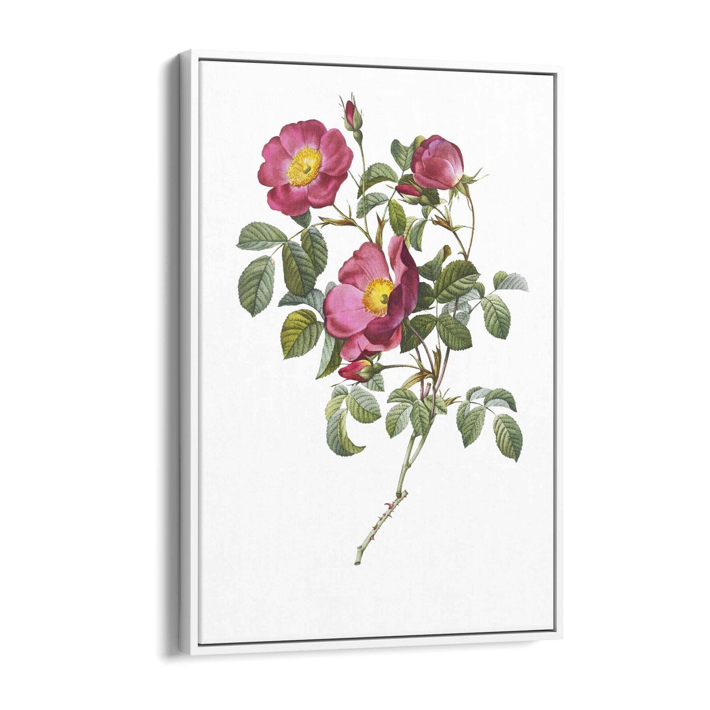 Flower Botanical Painting Kitchen Hallway Wall Art #41 - The Affordable Art Company