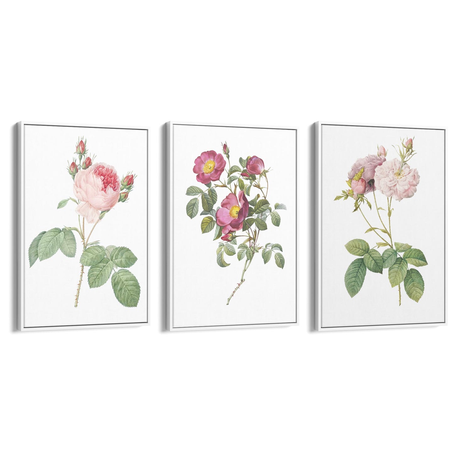 Set of Pink & White Flower Botanical Wall Art - The Affordable Art Company