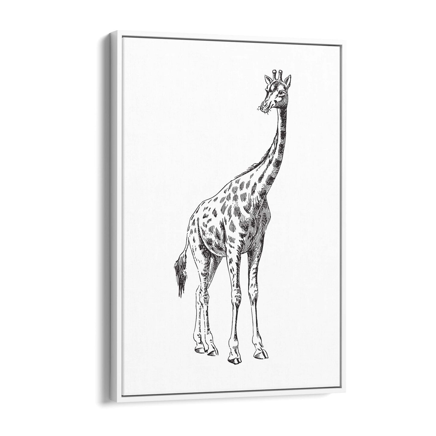 Detailed Giraffe Drawing Safari Animal Wall Art #2 - The Affordable Art Company
