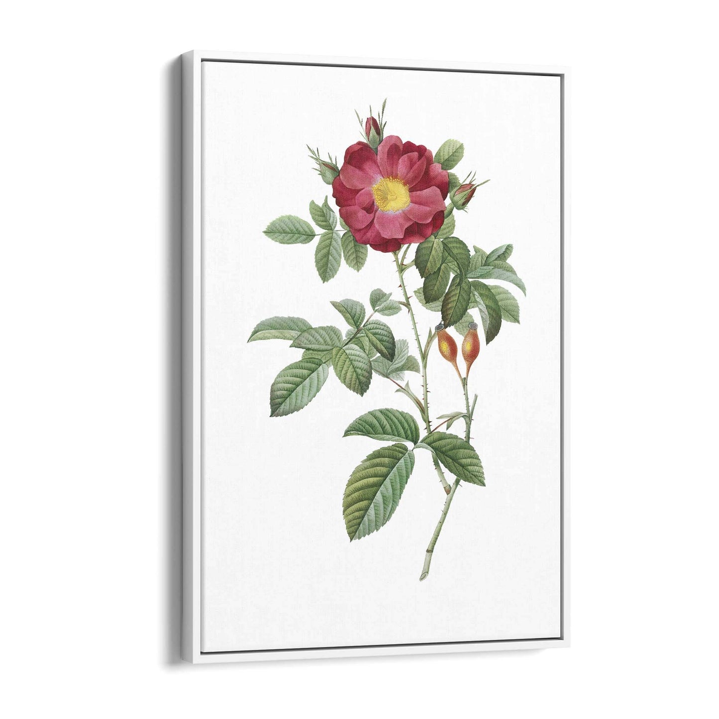 Flower Botanical Painting Kitchen Hallway Wall Art #9 - The Affordable Art Company