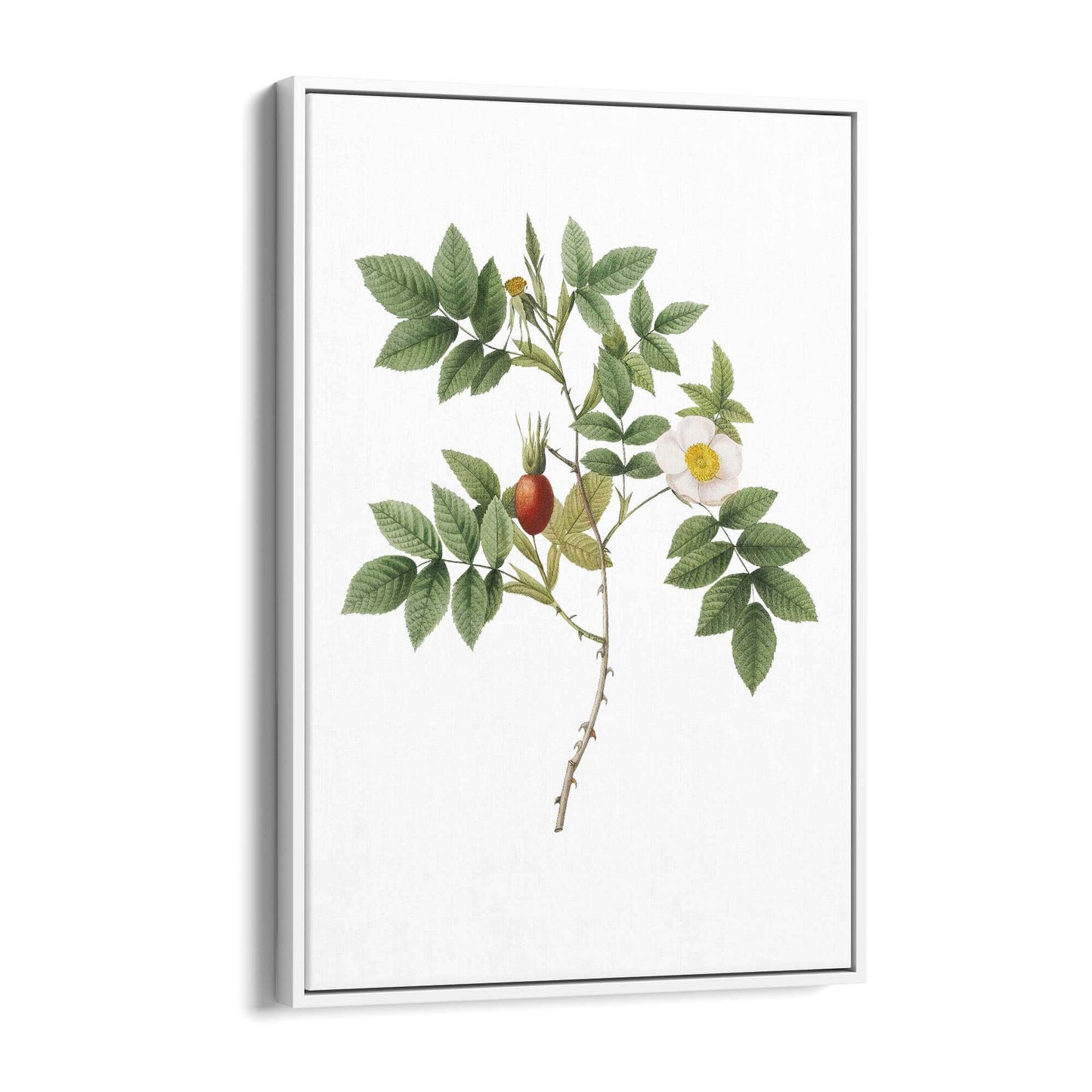 Flower Botanical Painting Kitchen Hallway Wall Art #46 - The Affordable Art Company