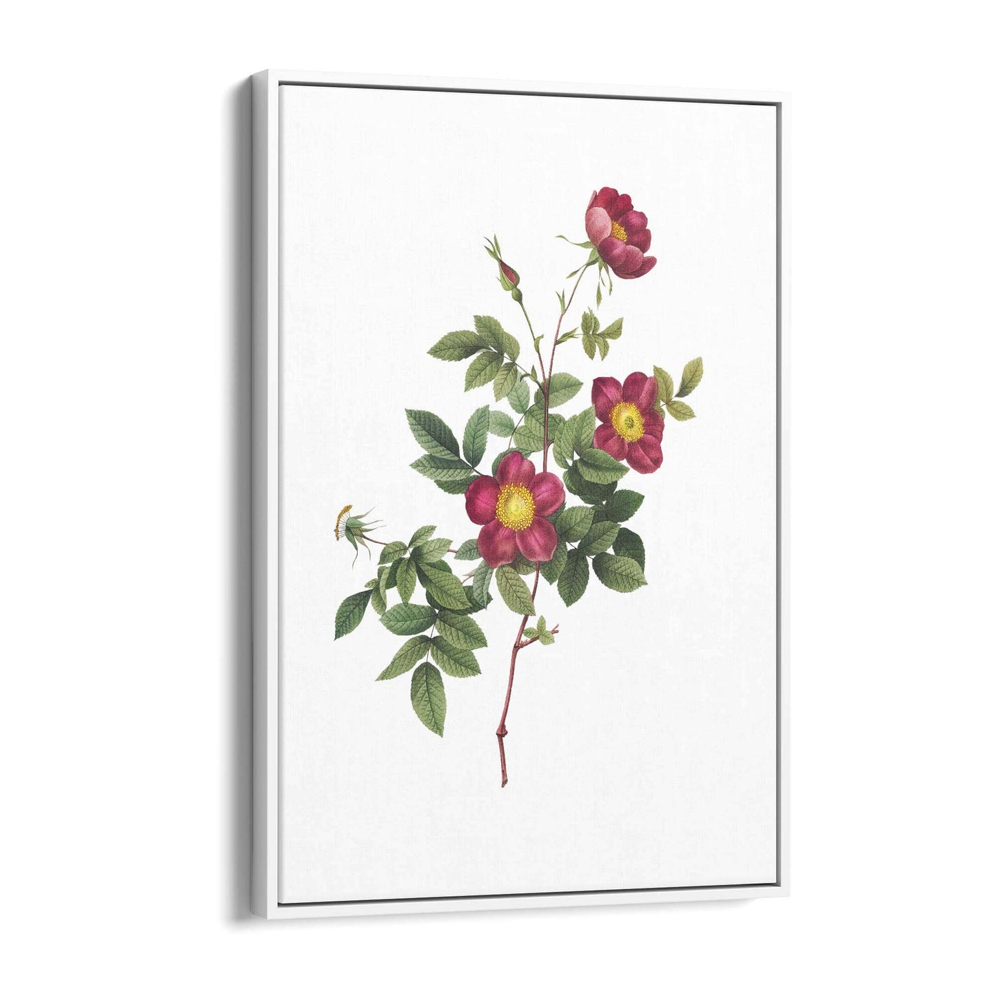 Flower Botanical Painting Kitchen Hallway Wall Art #7 - The Affordable Art Company