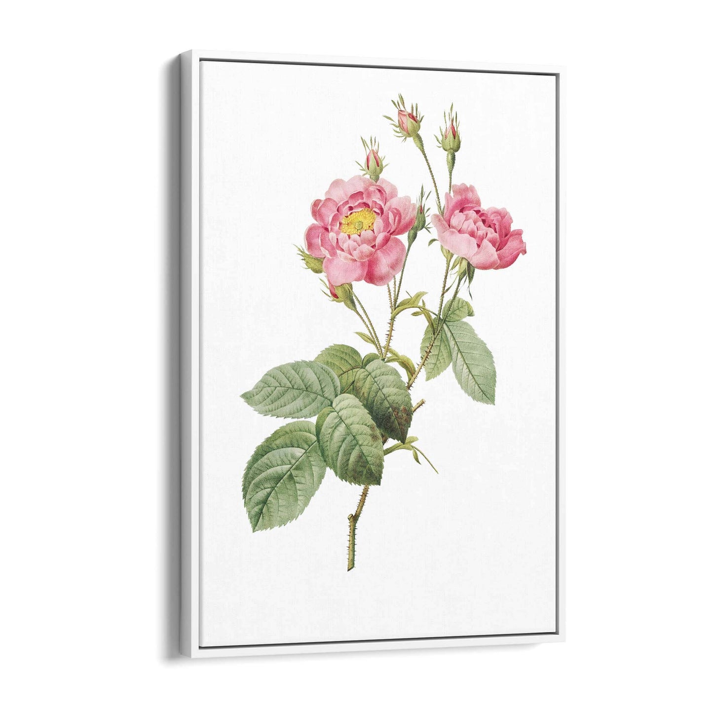 Flower Botanical Painting Kitchen Hallway Wall Art #12 - The Affordable Art Company