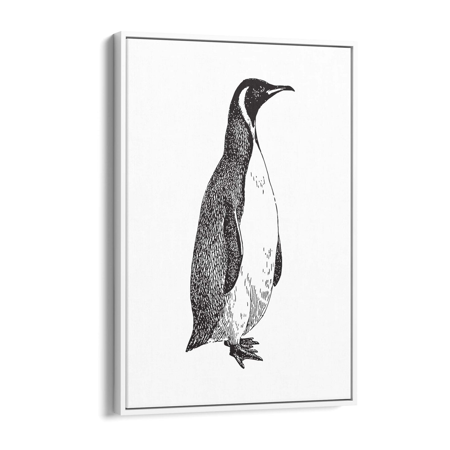 Penguin Drawing Animal Office Library Wall Art #1 - The Affordable Art Company