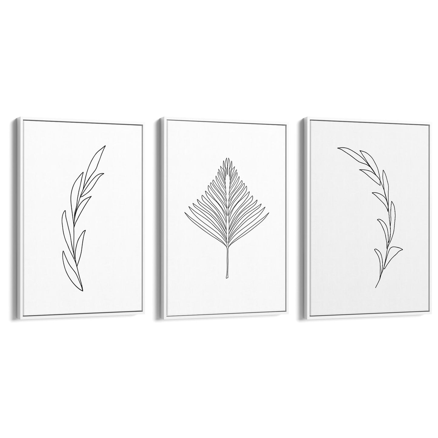 Set of Minimal Plant Line Drawings Wall Art #1 - The Affordable Art Company