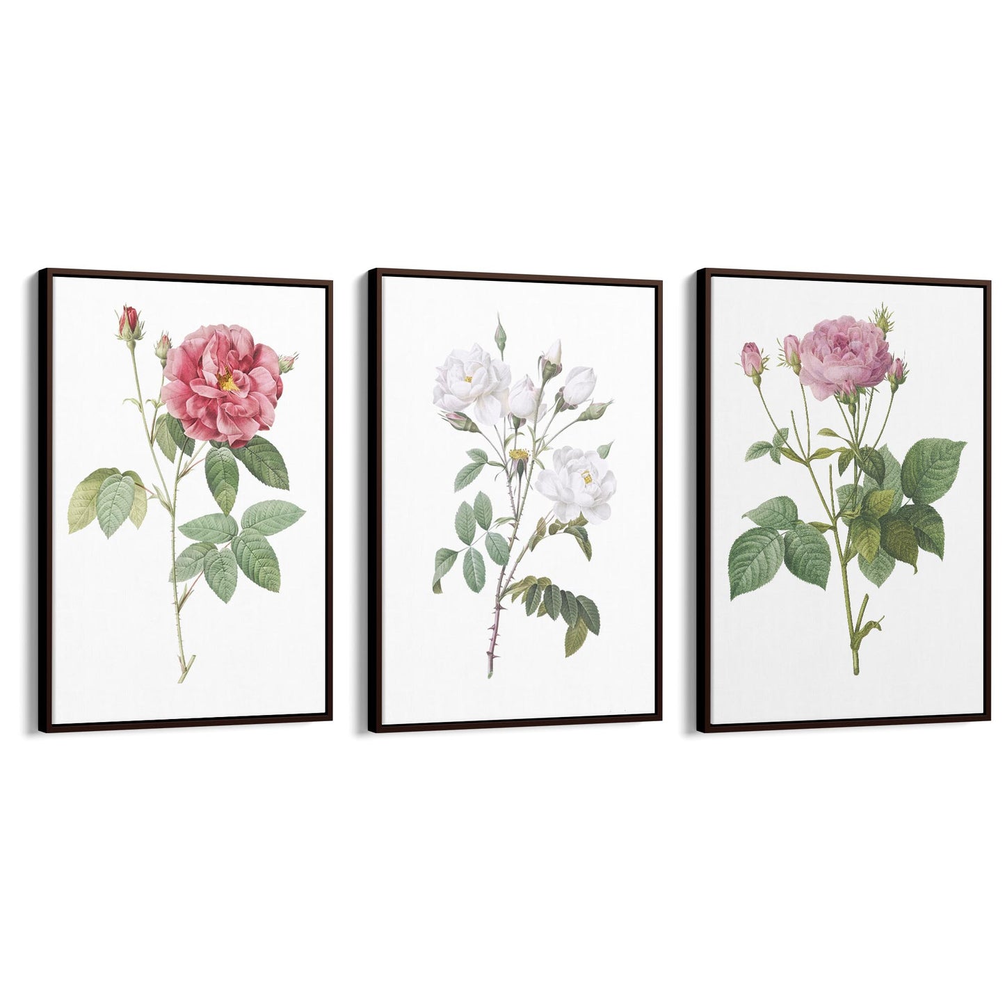 Set of Pink Floral Vintage Botanical Wall Art #4 - The Affordable Art Company