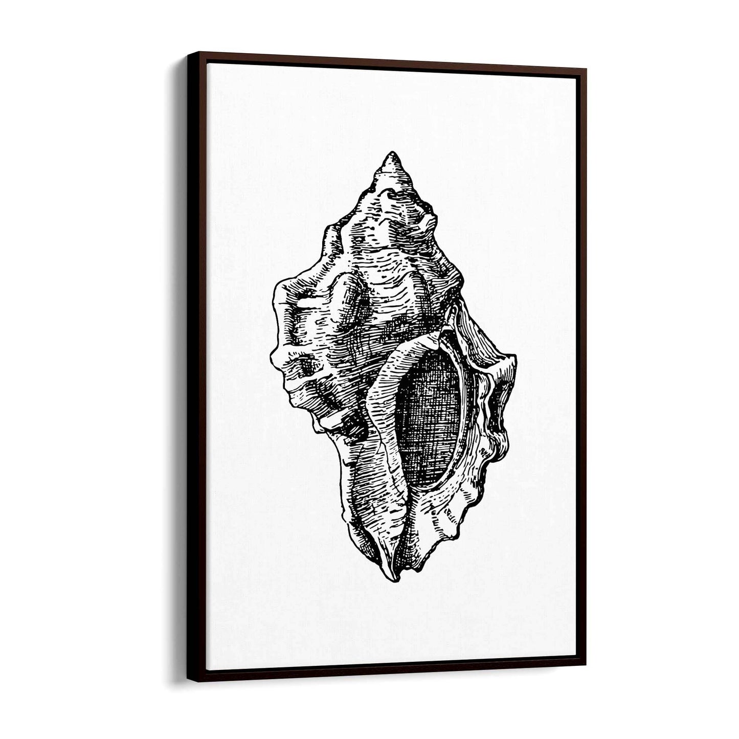 Sea Shell Drawing Coastal Nautical Theme Wall Art - The Affordable Art Company