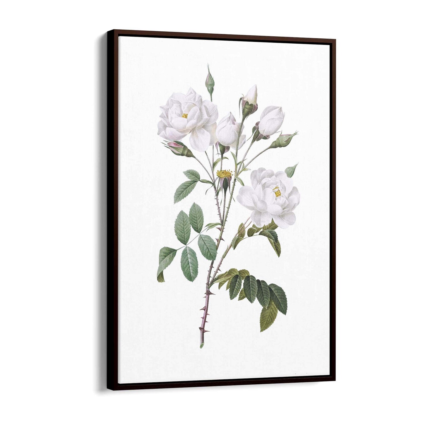 Flower Botanical Painting Kitchen Hallway Wall Art #15 - The Affordable Art Company