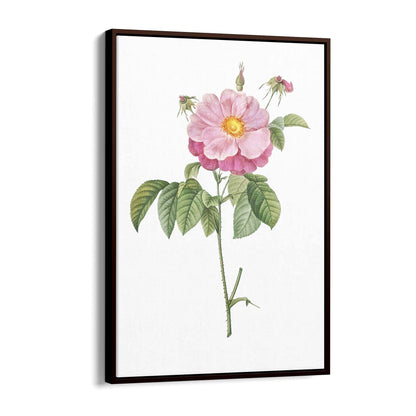 Flower Botanical Painting Kitchen Hallway Wall Art #6 - The Affordable Art Company