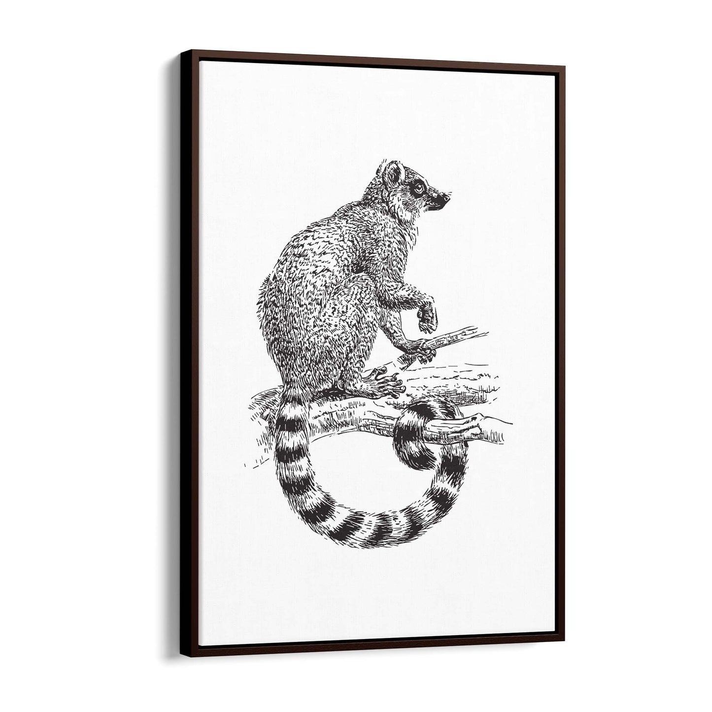 Possum Drawing Animal Wall Art - The Affordable Art Company