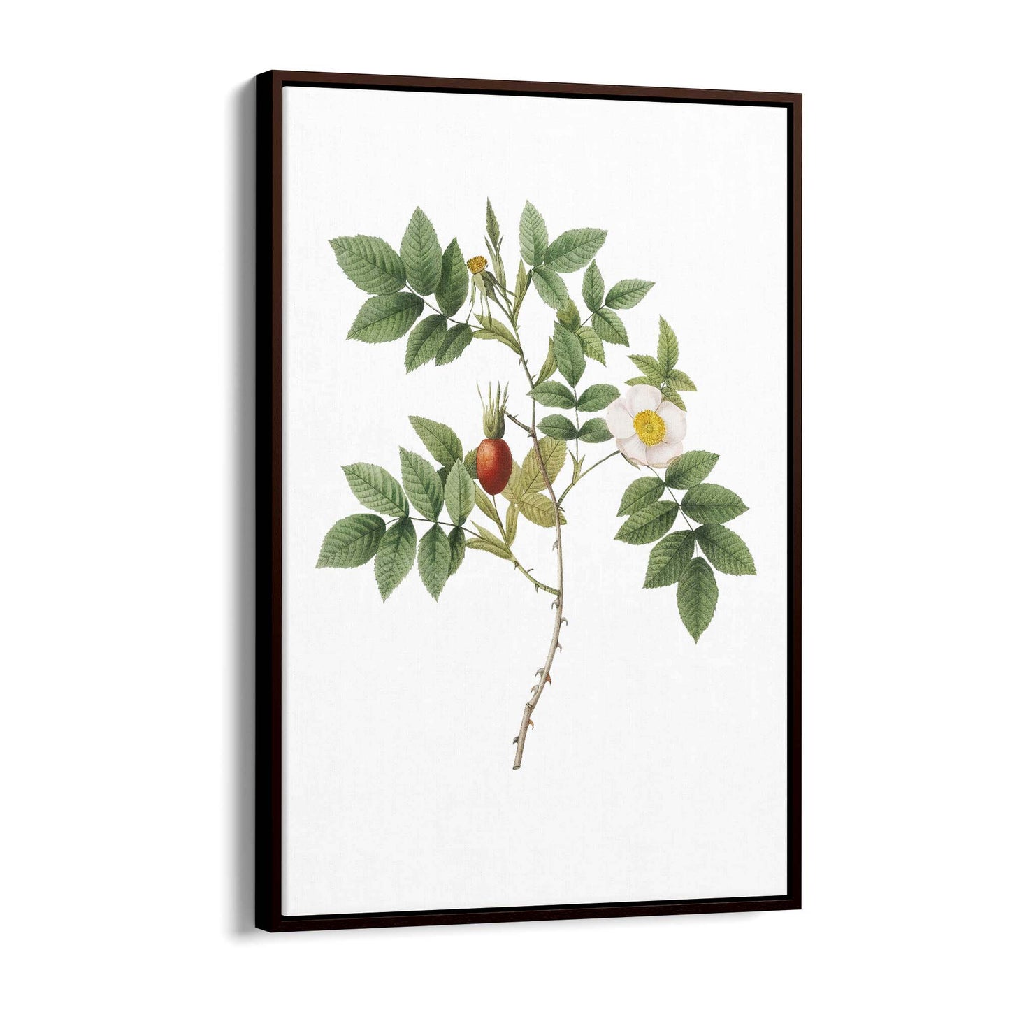 Flower Botanical Painting Kitchen Hallway Wall Art #46 - The Affordable Art Company