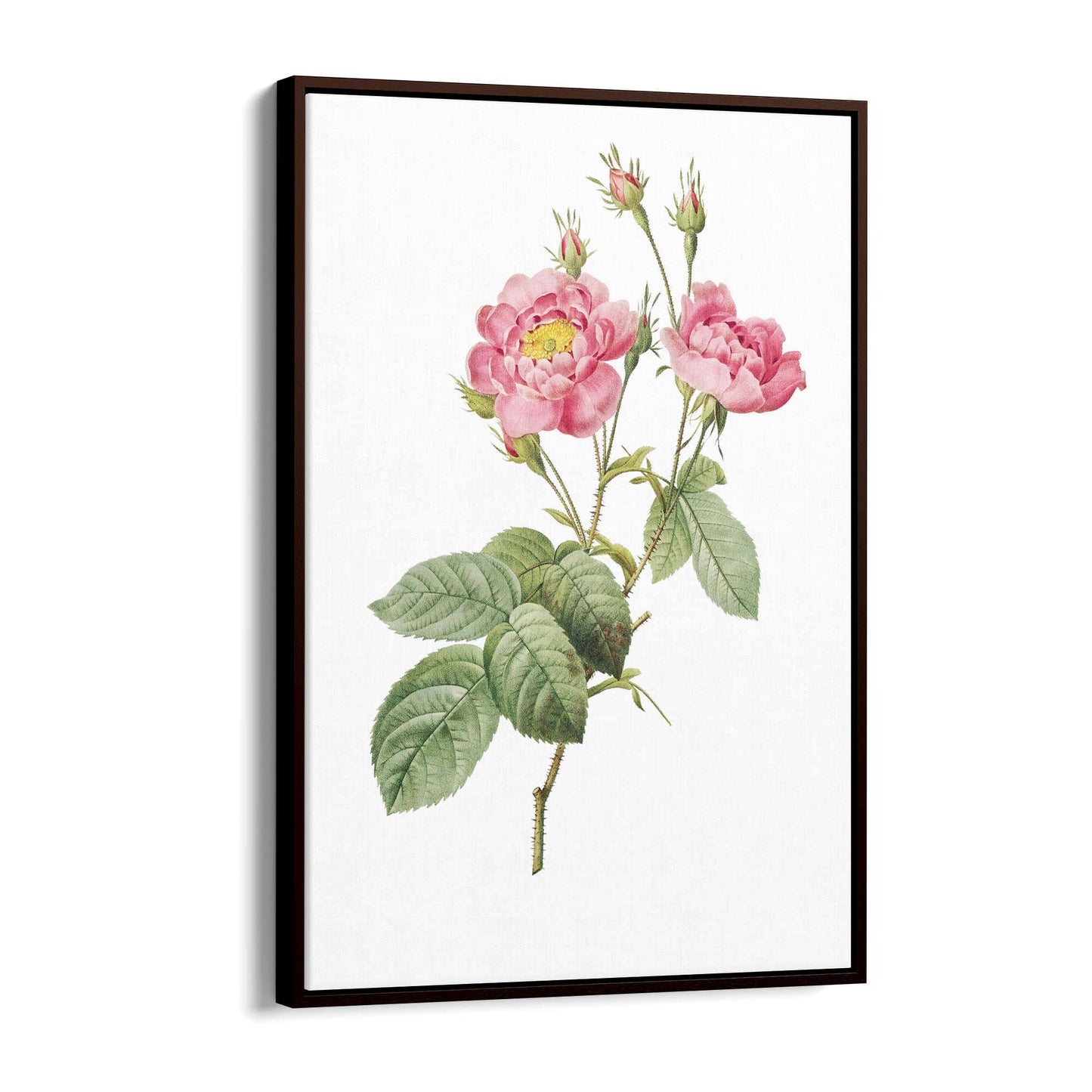 Flower Botanical Painting Kitchen Hallway Wall Art #12 - The Affordable Art Company