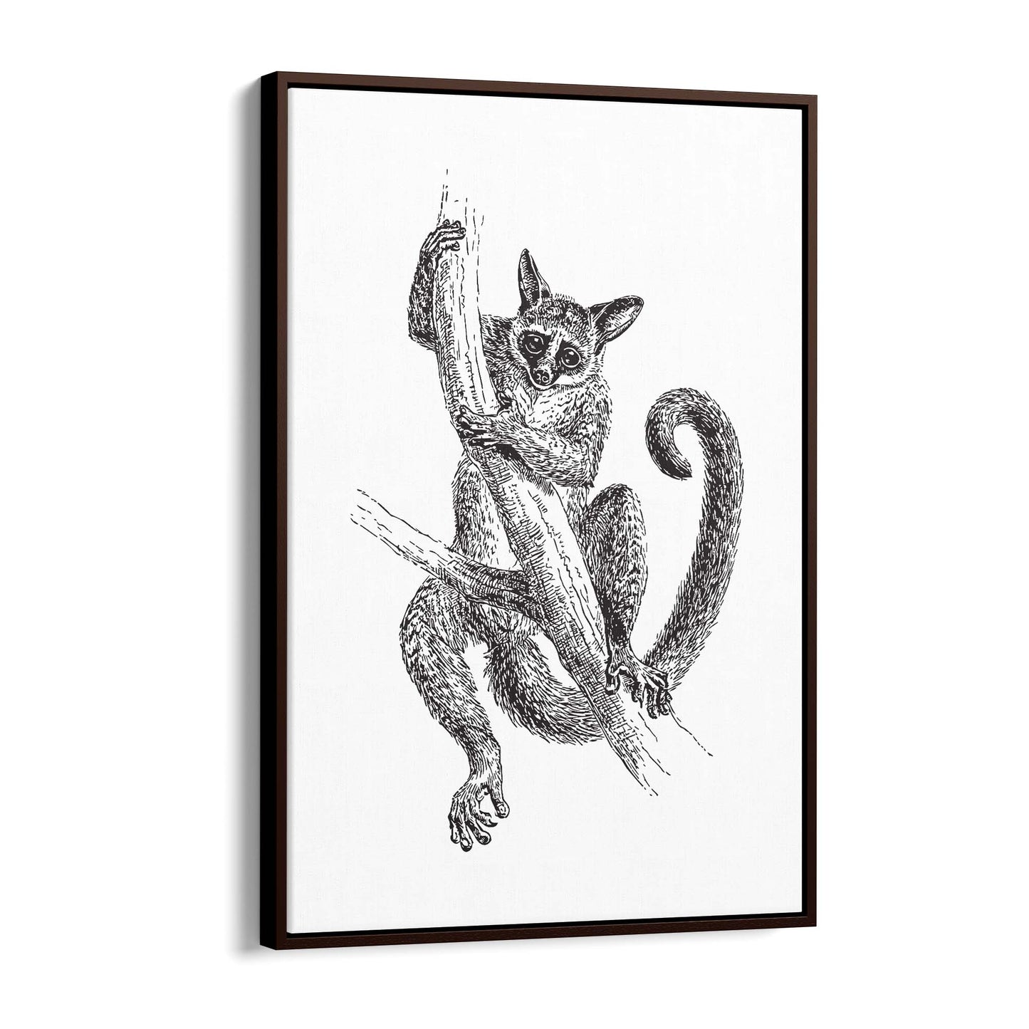 Lemur Detailed Drawing Animal Wall Art - The Affordable Art Company