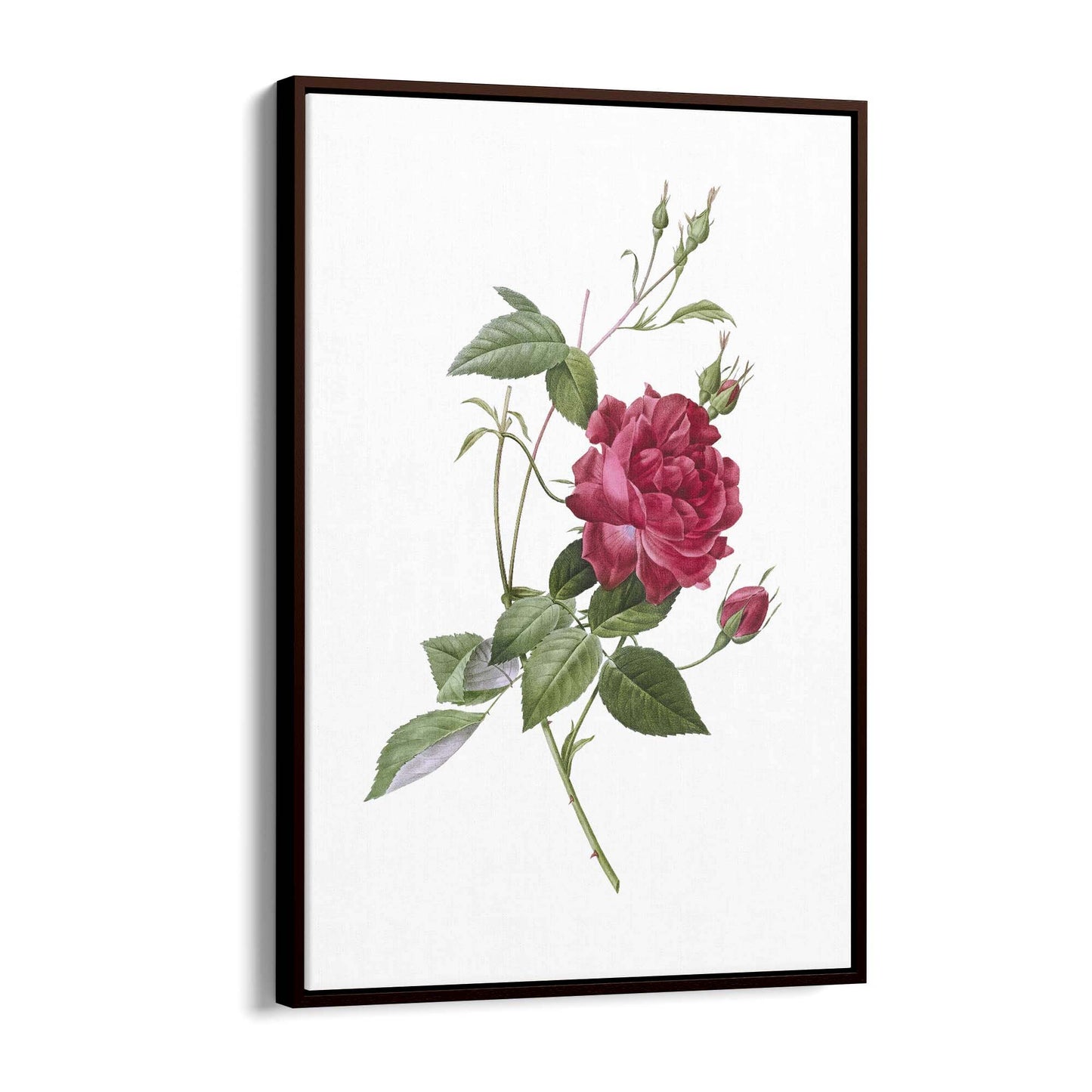 Flower Botanical Painting Kitchen Hallway Wall Art #31 - The Affordable Art Company