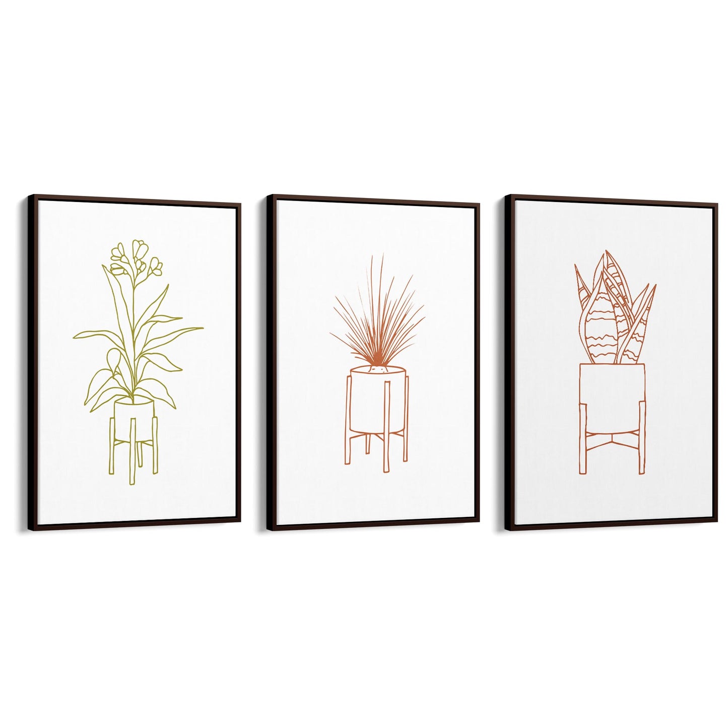 Set of Minimal House Plant Drawing Wall Art #1 - The Affordable Art Company