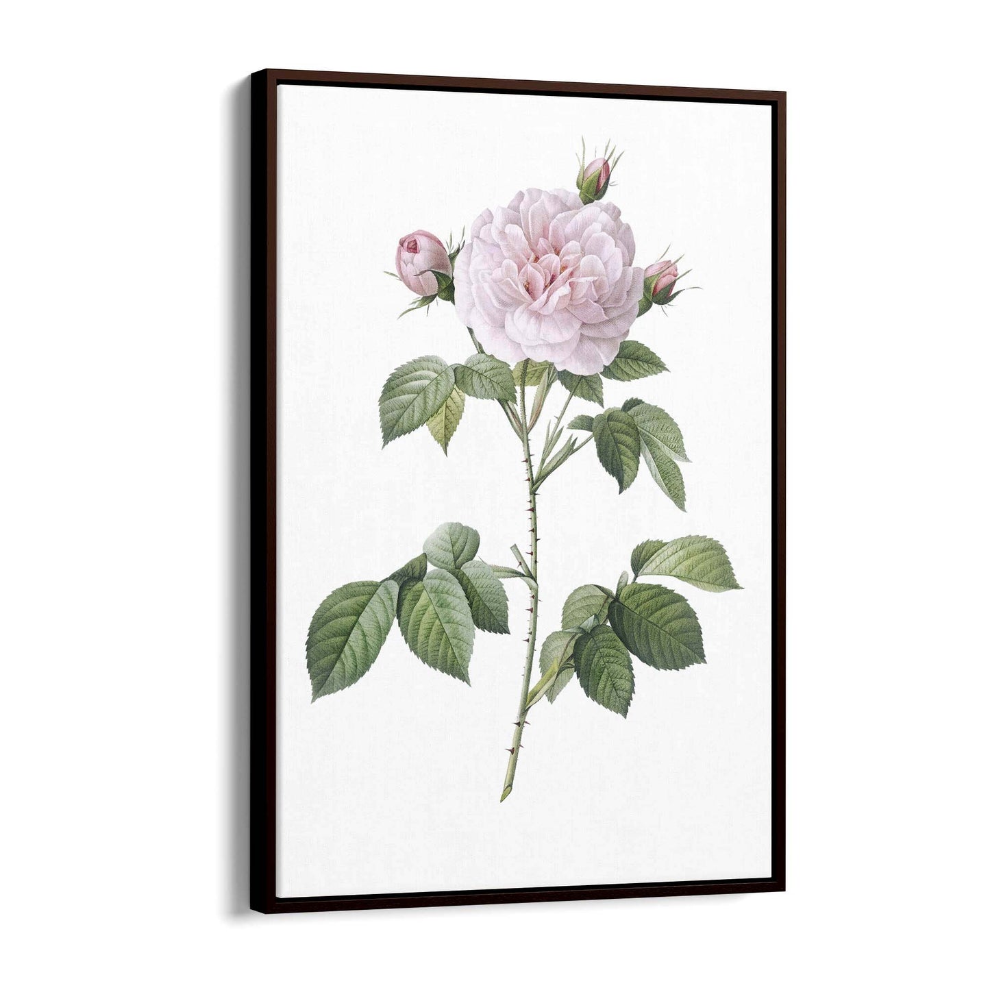 Flower Botanical Painting Kitchen Hallway Wall Art #11 - The Affordable Art Company