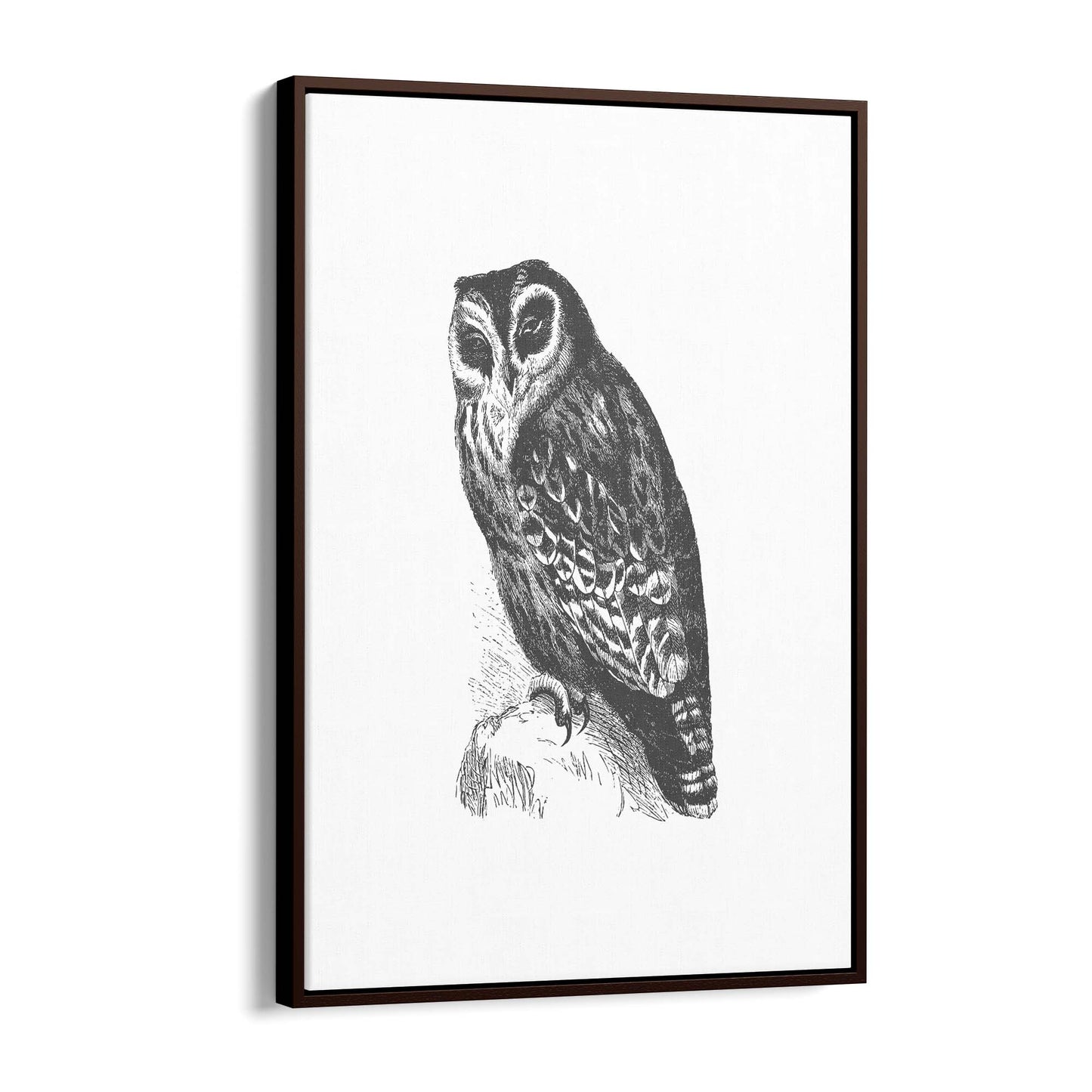 Owl Drawing Portrait Minimal Black Wall Art #4 - The Affordable Art Company